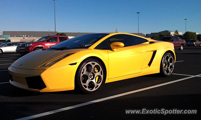 Lamborghini Gallardo spotted in Philadelphia, Pennsylvania