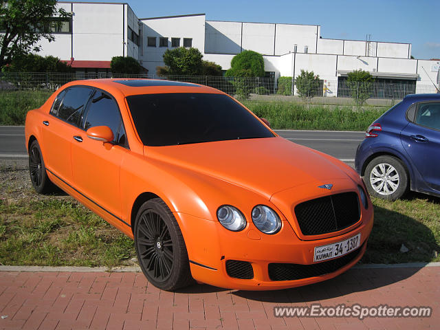 Bentley Continental spotted in Sant'Agata Bo, Italy