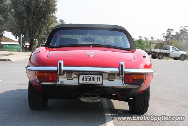 Jaguar E-Type spotted in Gundagai, Australia