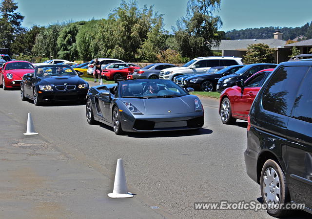 Lamborghini Gallardo spotted in Carmel, California