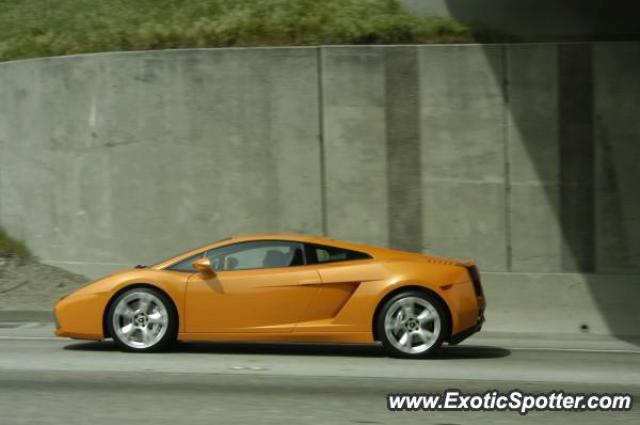 Lamborghini Gallardo spotted in PLEASANTON, California