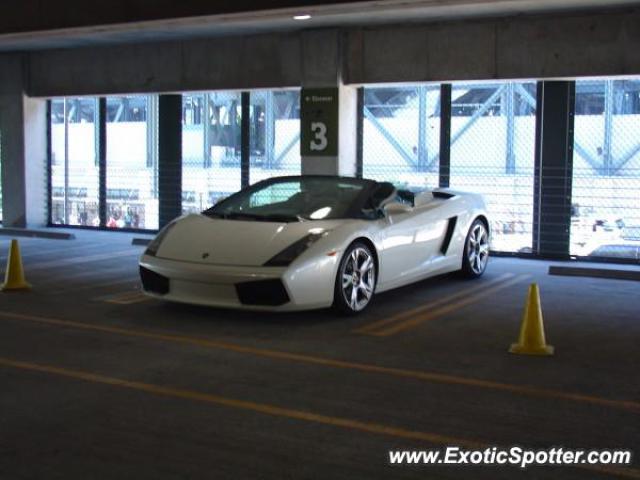 Lamborghini Gallardo spotted in Seattle, Washington