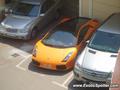 Lamborghini Gallardo