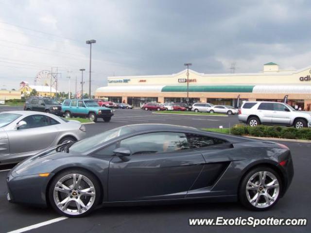 Lamborghini Gallardo spotted in Orlando, Florida