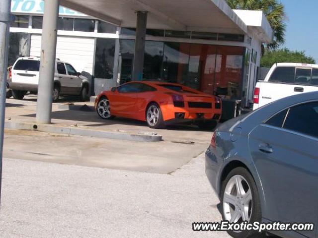 Lamborghini Gallardo spotted in Sarasota, Florida