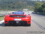 Ferrari Enzo