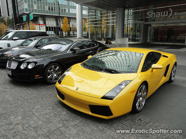 Lamborghini Gallardo spotted in Vancouver, Canada