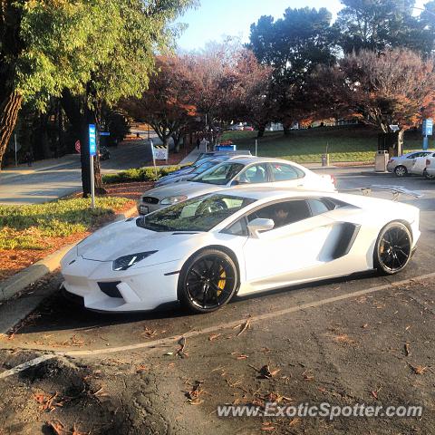 Lamborghini Aventador spotted in Hillsborough, California