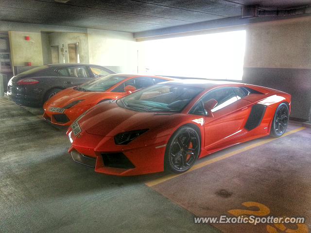 Lamborghini Aventador spotted in Dubai, United Arab Emirates