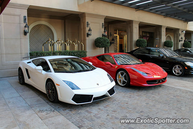 Lamborghini Gallardo spotted in Beverly Hills, California