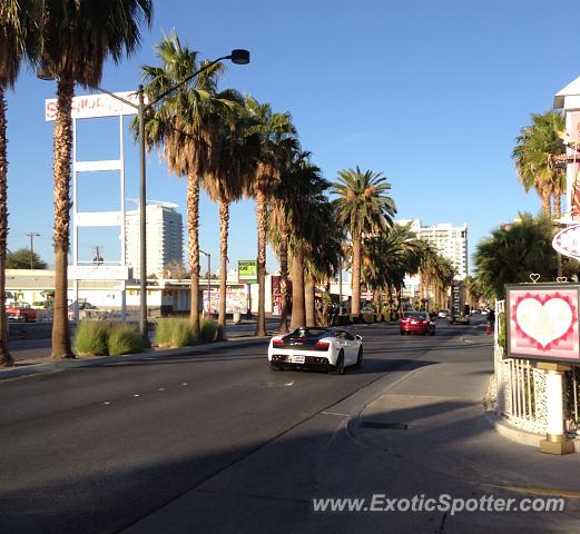 Lamborghini Gallardo spotted in Las Vegas, Nevada