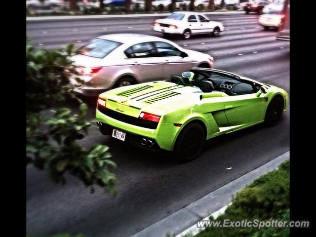 Lamborghini Gallardo spotted in Las Vegas, Nevada