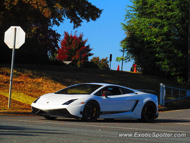 Lamborghini Gallardo spotted in Charlotte, North Carolina