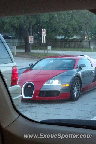 Bugatti Veyron spotted in West Palm Beach, Florida