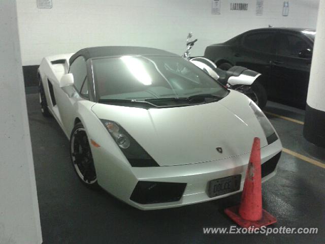 Lamborghini Gallardo spotted in Port Credit, Canada