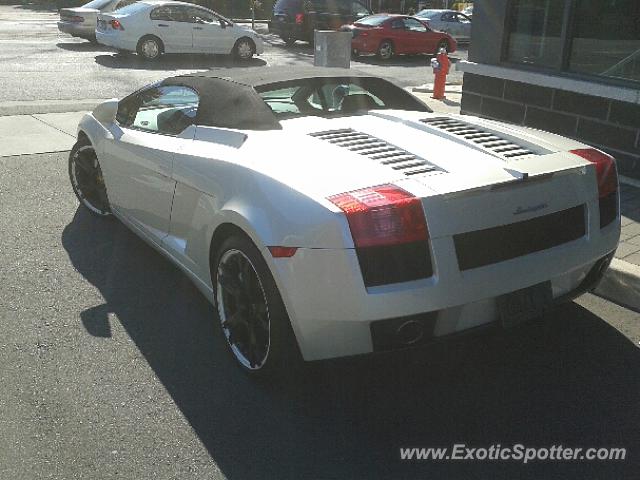 Lamborghini Gallardo spotted in Port Credit, Canada