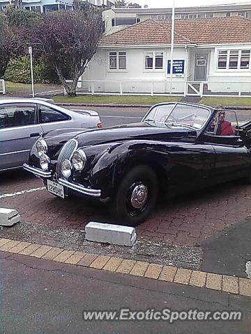 Jaguar E-Type spotted in Auckland, New Zealand