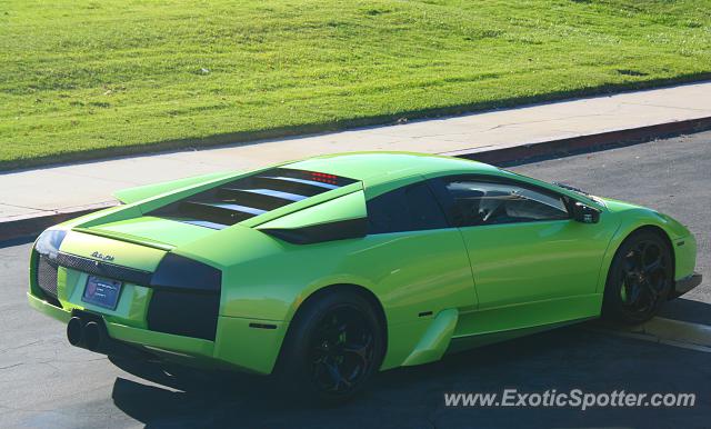 Lamborghini Murcielago spotted in Van Nuys, California