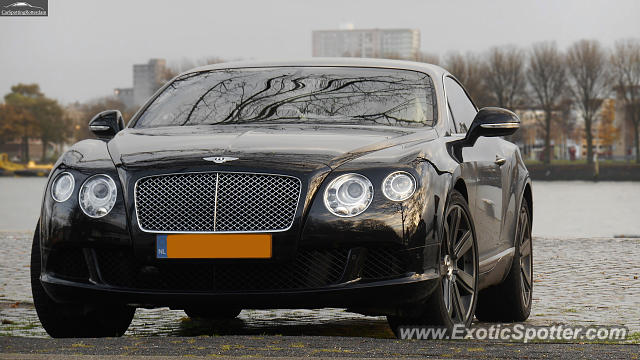 Bentley Continental spotted in Rotterdam, Netherlands