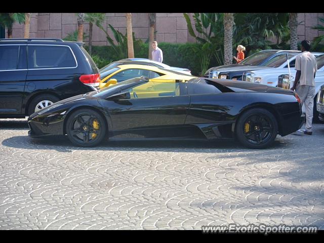 Lamborghini Gallardo spotted in Dubai, United Arab Emirates