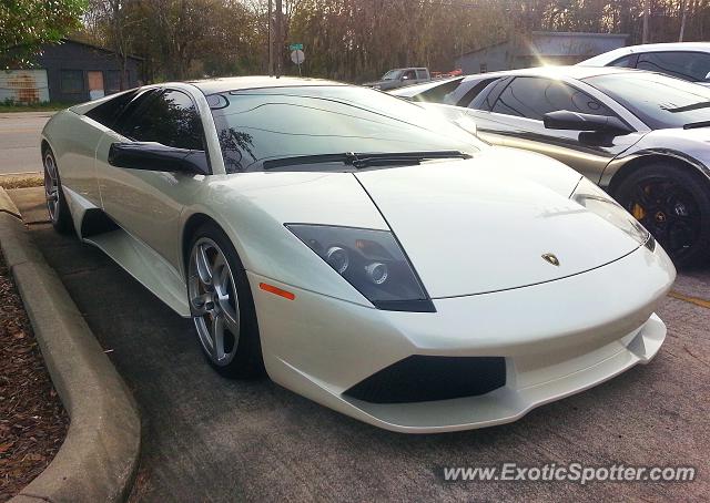 Lamborghini Murcielago spotted in Jacksonville, Florida