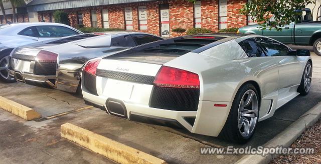 Lamborghini Murcielago spotted in Jacksonville, Florida