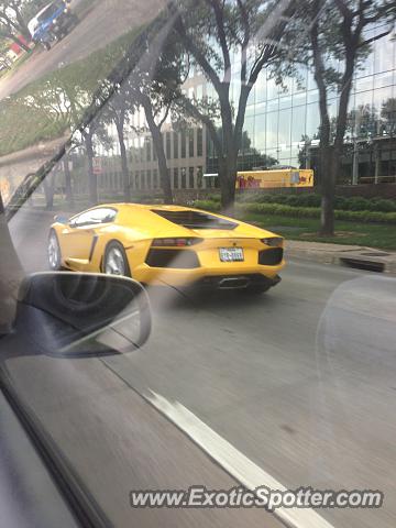 Lamborghini Aventador spotted in Dallas, Texas