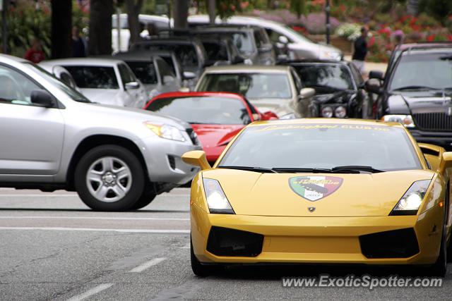 Lamborghini Gallardo spotted in Carmel, California