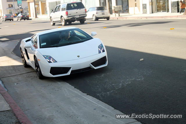 Lamborghini Gallardo spotted in Beverly Hills, California