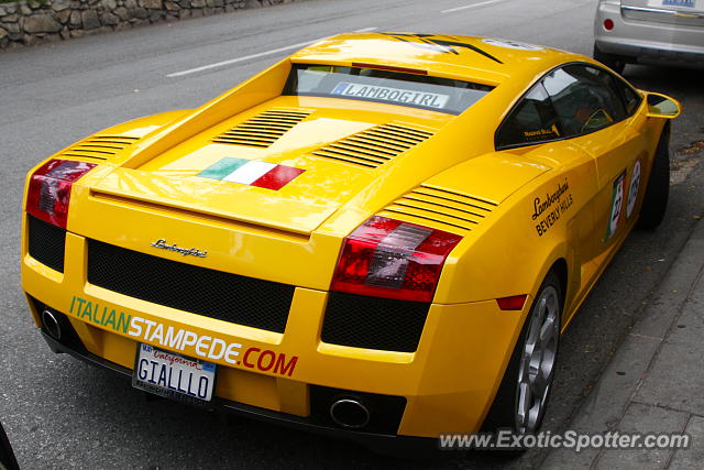 Lamborghini Gallardo spotted in Carmel, California