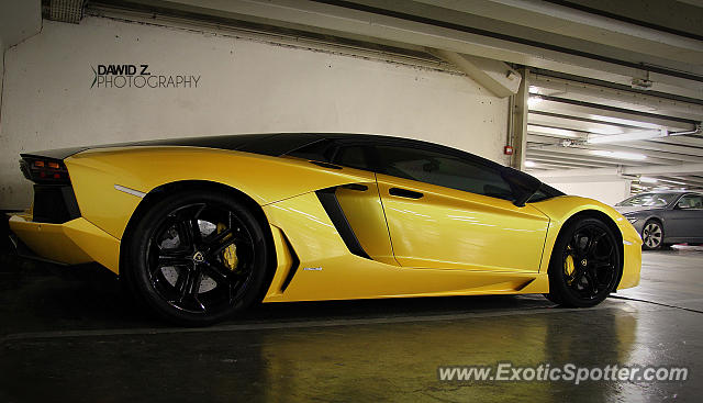 Lamborghini Aventador spotted in Paris, France