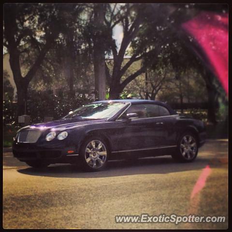 Bentley Continental spotted in Sunrise, Florida