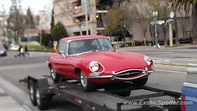 Jaguar E-Type spotted in Anaheim, California