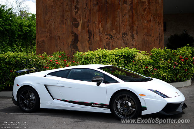 Lamborghini Gallardo spotted in Brasilia, Brazil