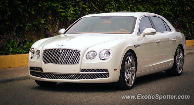 Bentley Continental spotted in Pebble Beach, California