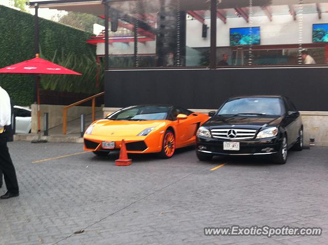 Lamborghini Gallardo spotted in Mexico City, Mexico