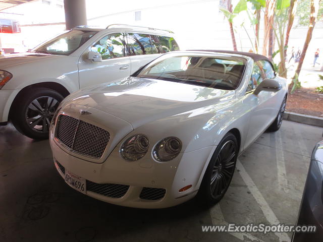 Bentley Continental spotted in Los Angeles, California