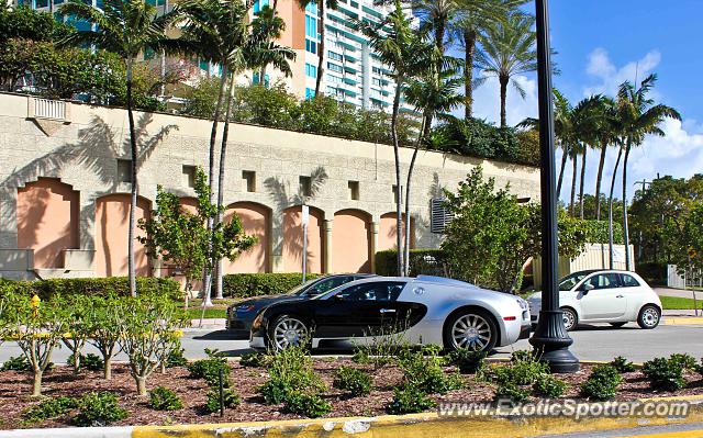 Bugatti Veyron spotted in Miami, Florida