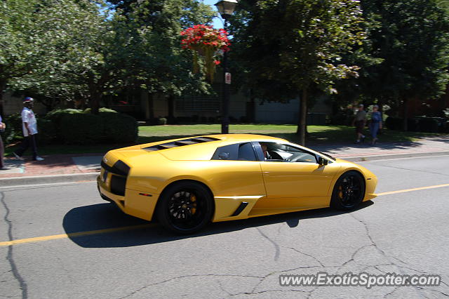 Lamborghini Murcielago spotted in Burlington, Canada