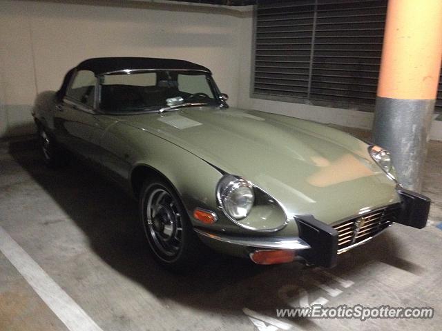 Jaguar E-Type spotted in San Diego, California