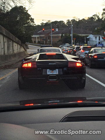 Lamborghini Murcielago spotted in Atlanta, Georgia