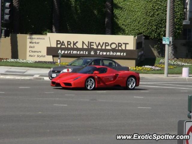 Ferrari Enzo spotted in Newport, California