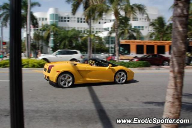 Lamborghini Gallardo spotted in Miami, Florida