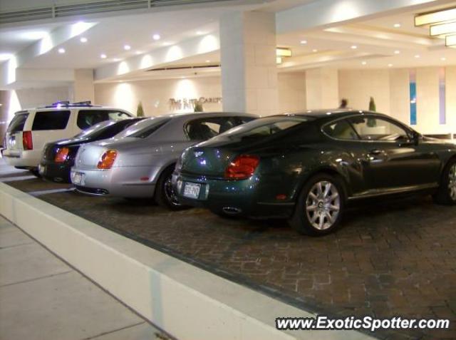 Bentley Continental spotted in Denver, Colorado