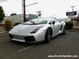 Lamborghini Gallardo