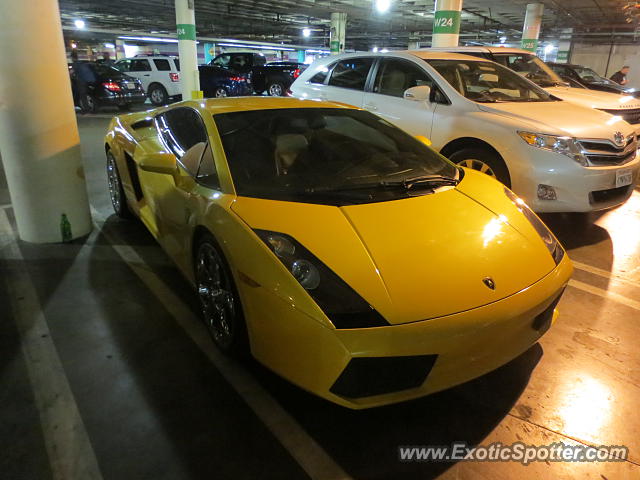 Lamborghini Gallardo spotted in Los Angeles, California