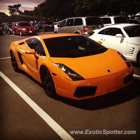 Lamborghini Gallardo spotted in Orlando, Florida