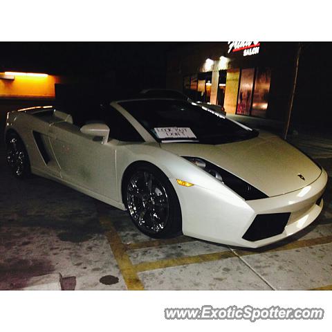 Lamborghini Gallardo spotted in Albuquerque, New Mexico