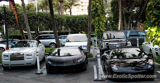 Lamborghini Gallardo spotted in Miami, Florida