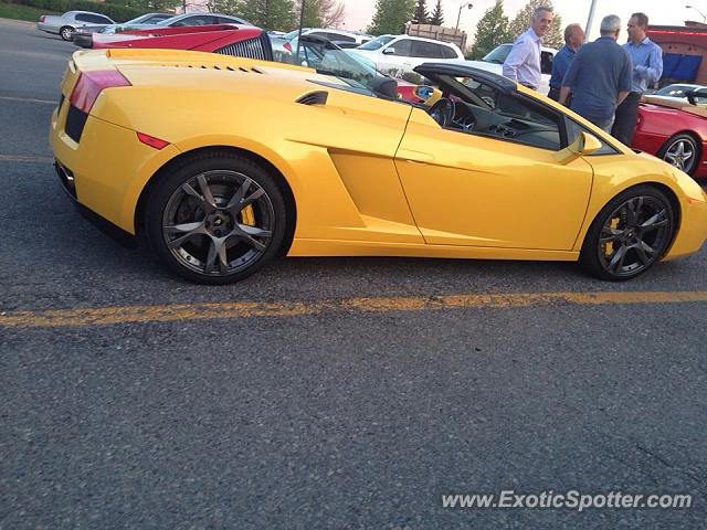 Lamborghini Gallardo spotted in Vaughan, Canada